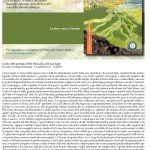 Sigea recensioni , Milazzo_GDA_4-2025_Lupi Sigea recensioni , Milazzo_GDA_4-2025_Lupi