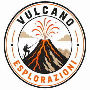 LOGO VE